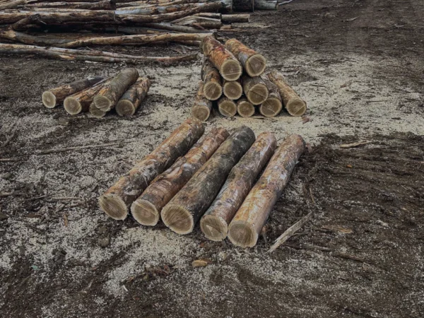 Hardwood landscaping logs stacked at the RAMA Firewood yard in Diggers Rest