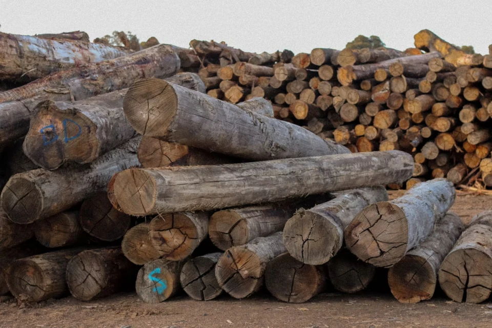 Bulk hardwood landscaping logs cut to order for Melbourne landscapers