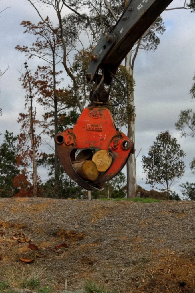 Seasoned hardwood landscaping logs for parks, playgrounds and garden projects