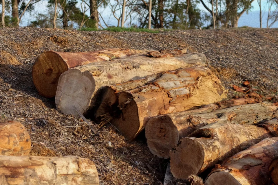 Seasoned hardwood landscaping logs for parks, playgrounds and garden projects