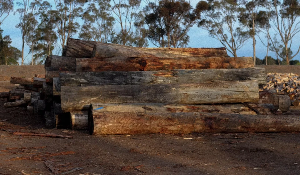 Bulk hardwood landscaping logs cut to order for Melbourne landscapers