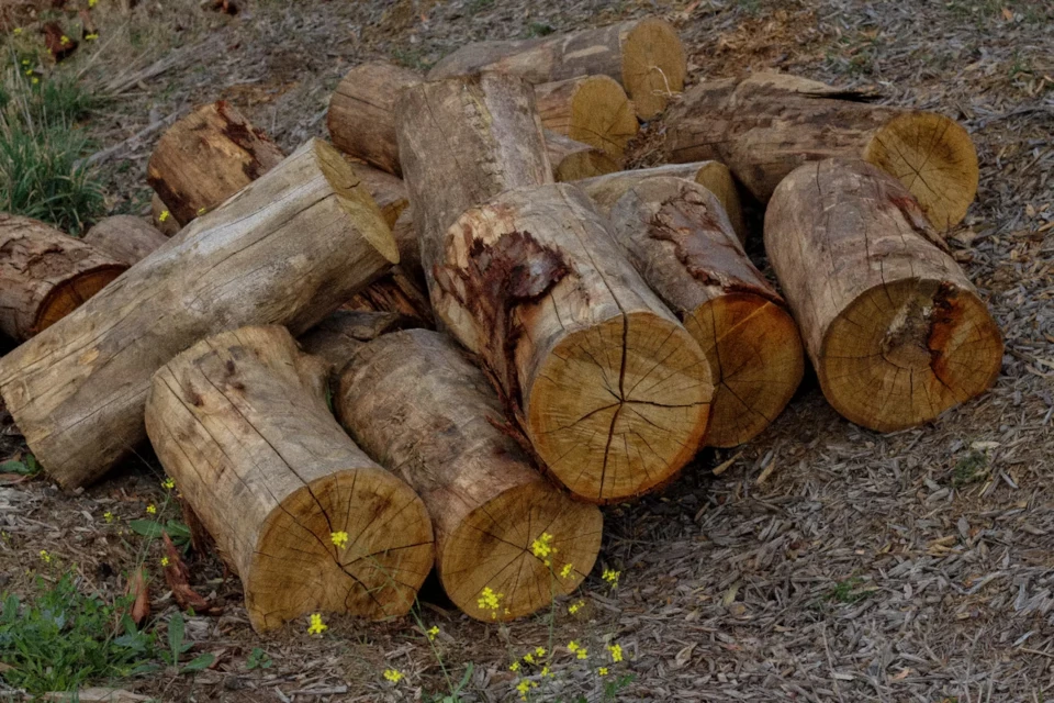 Hardwood landscaping logs stacked at the RAMA Firewood yard in Diggers Rest