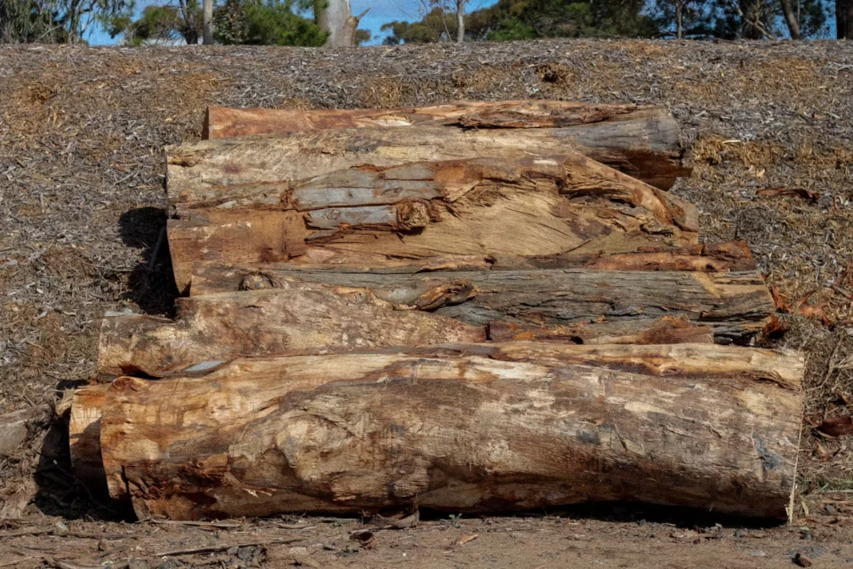 Bulk hardwood landscaping logs cut to order for Melbourne landscapers
