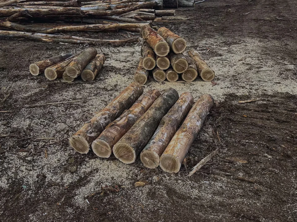 Bulk hardwood landscaping logs cut to order for Melbourne landscapers