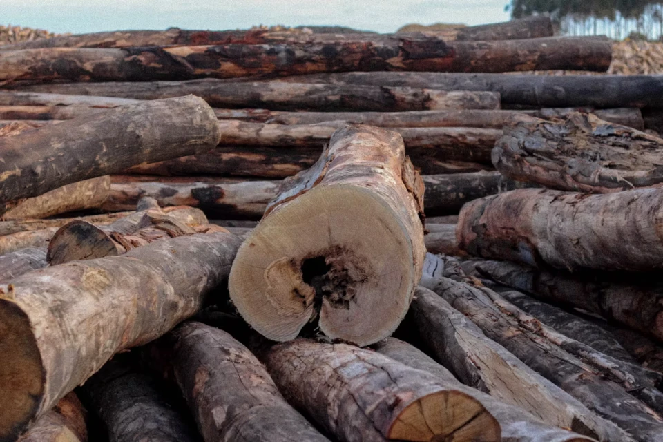 Hardwood landscaping logs stacked at the RAMA Firewood yard in Diggers Rest