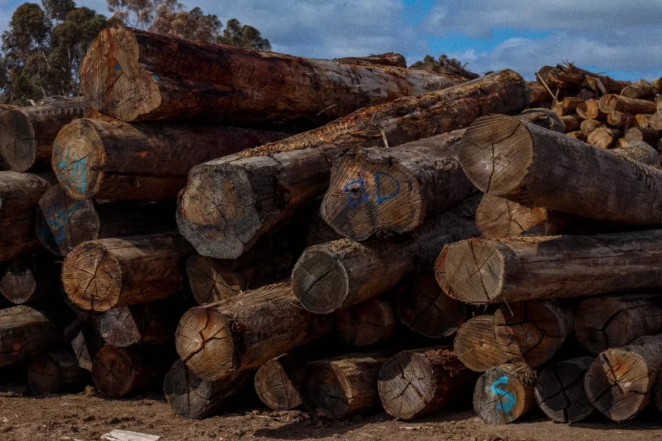 Class 1-3 seasoned hardwood logs supplied for commercial landscaping projects