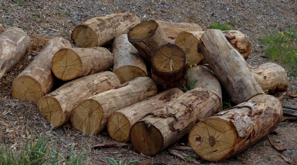 Bulk hardwood landscaping logs cut to order for Melbourne landscapers