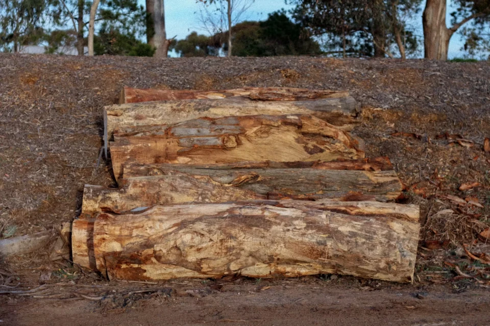 Class 1-3 seasoned hardwood logs supplied for commercial landscaping projects