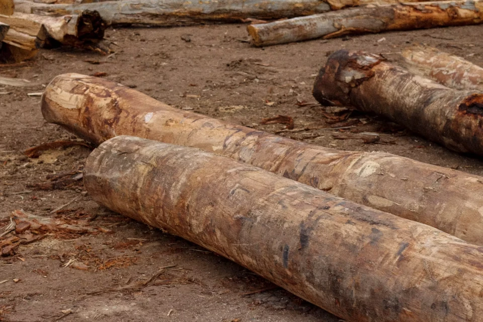 Class 1-3 seasoned hardwood logs supplied for commercial landscaping projects