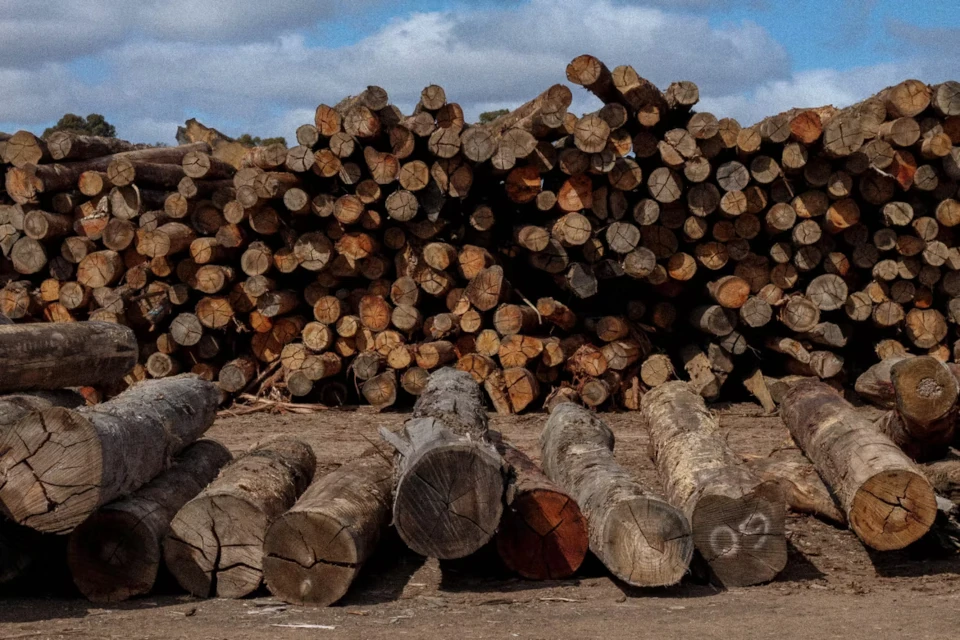 Seasoned hardwood landscaping logs for parks, playgrounds and garden projects