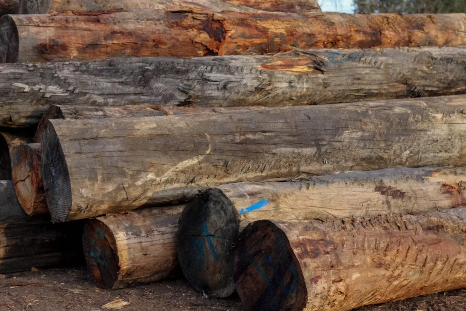 Bulk hardwood landscaping logs cut to order for Melbourne landscapers
