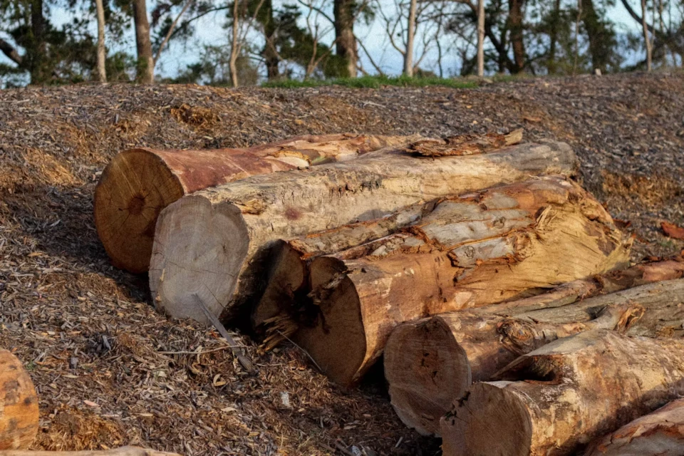 Seasoned hardwood landscaping logs for parks, playgrounds and garden projects