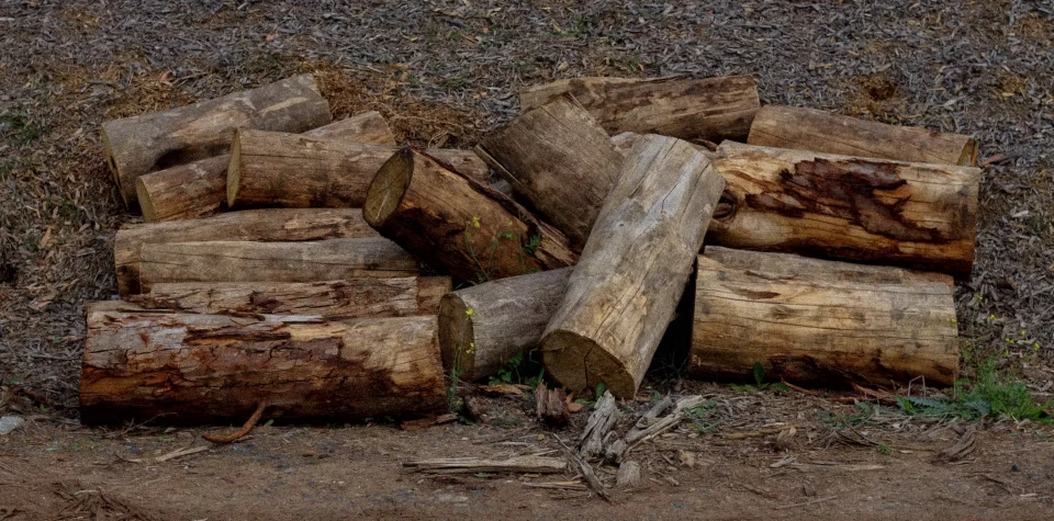 Seasoned hardwood landscaping logs for parks, playgrounds and garden projects