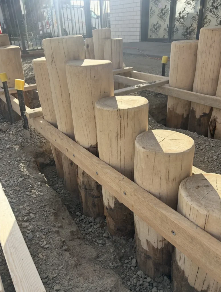 Debarked hardwood log steppers set in a row behind timber edging