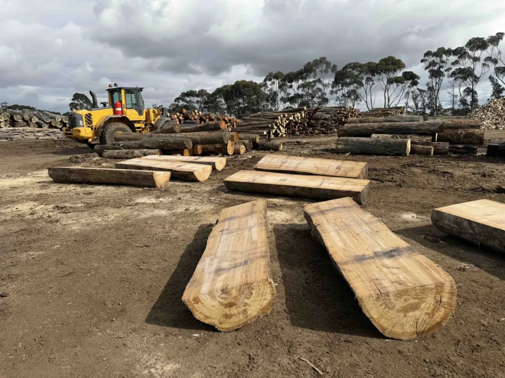 Half sawn 600mm hardwood landscaping logs laid out in the RAMA Firewood yard with a loader behind
