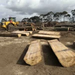 Half sawn 600mm hardwood landscaping logs laid out in the RAMA Firewood yard with a loader behind