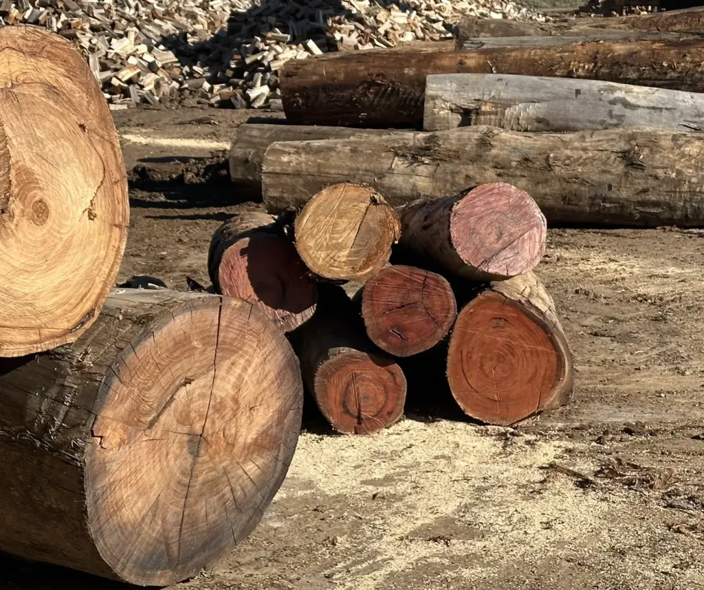 Hardwood landscaping logs of different sizes showing dense red and pale end grain