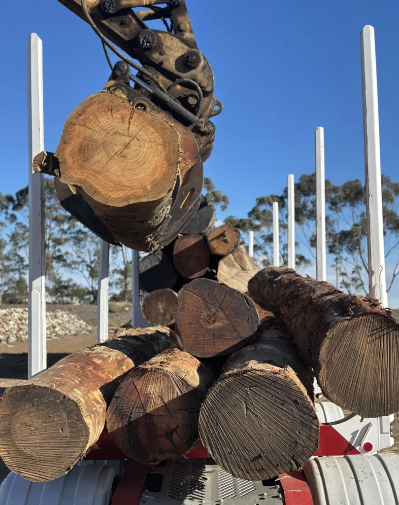 Hardwood logs being loaded onto a truck with a log grab for delivery